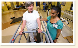 Cardiovascular exercise equipment