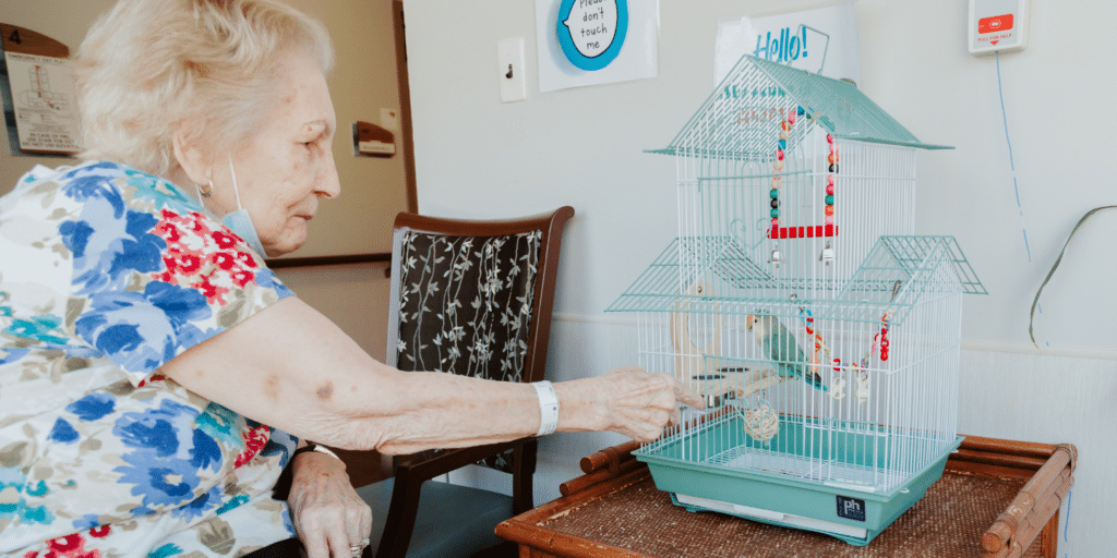 Photo of senior short term rehab patient enjoying facility pet bird