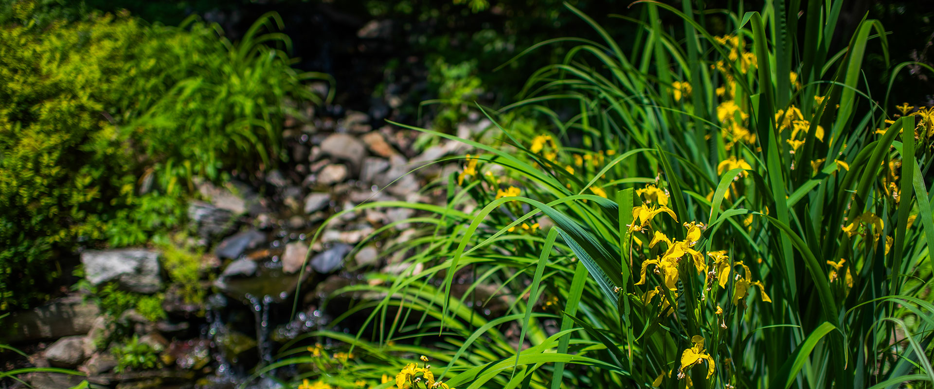 Renewal And Transformation Garden Project