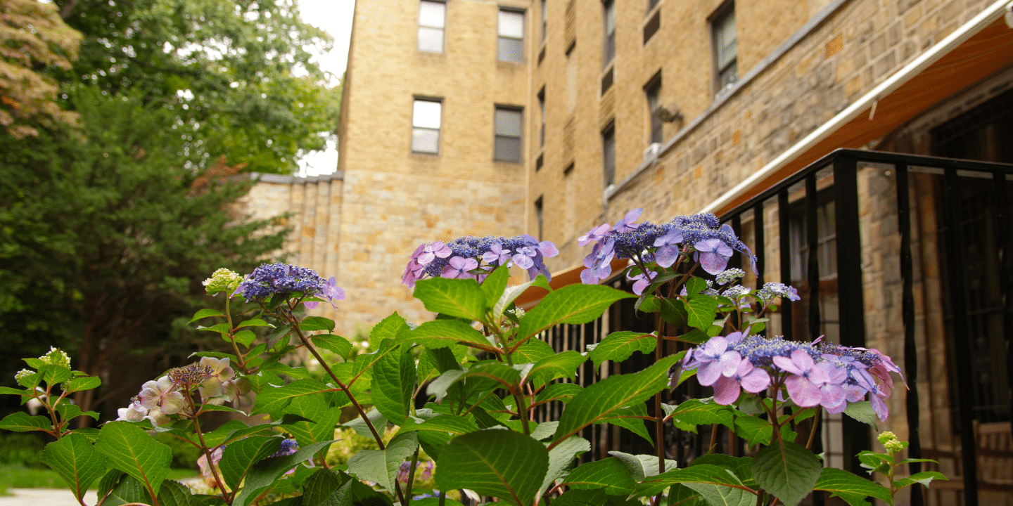Exterior photo of the historic Methodist Home in the Bronx, NY with some blooming purple flowers in the foreground, photo used to commemorate Newsweek recognition.